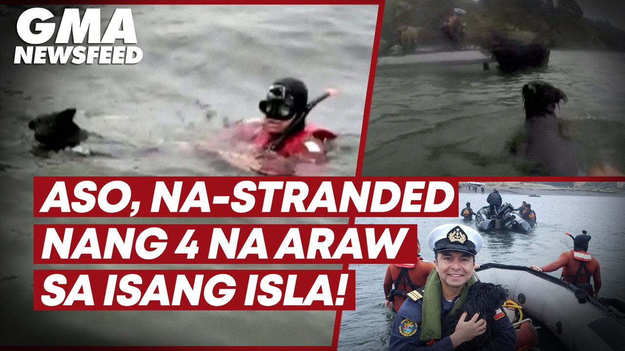 Aso, na-stranded nang 4 na araw sa isang isla! | GMA News Feed