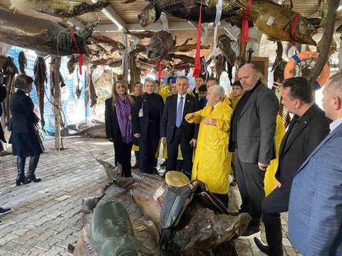 AK Parti Milletvekili Şirin Ünal: AK Parti, milletin partisidir. Her zaman seçime hazırdır