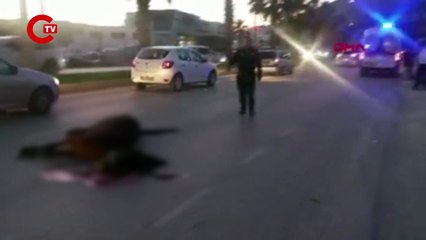 Bodrum'da acı kaza: Otomobilin çarptığı at öldü