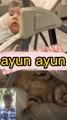 Kucing mengayun bayi