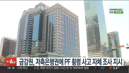 금감원, 저축은행권에 PF 횡령사고 자체조사 지시