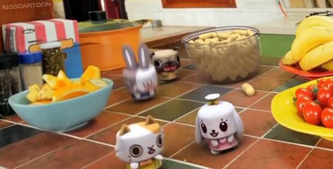 Canimals Canimals E038 Heavy Jelly