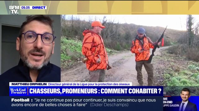 Matthieu Orphelin, directeur général de la LPO: Le dimanche sans chasse est une mesure très soutenue et de réconciliation avec les chasseurs