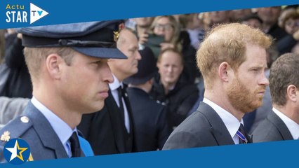 "Calvitie alarmante", "mine renfrognée" : le prince Harry allume son frère et tient des propos très