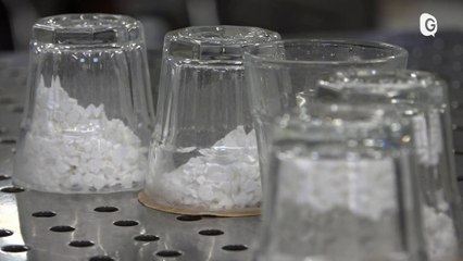 6' ENVIRONNEMENT - 08/01/23 - Cilkoa et forêt urbaine