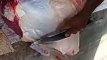 Amazing meat video //Beef cutting skills