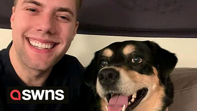 A comedian spent six months training his housemate's dog to recognise Thin Lizzy's The Boys are Back in Town as a signal for walkies