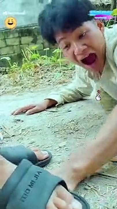 Comedy videos, try not to laugh challenge