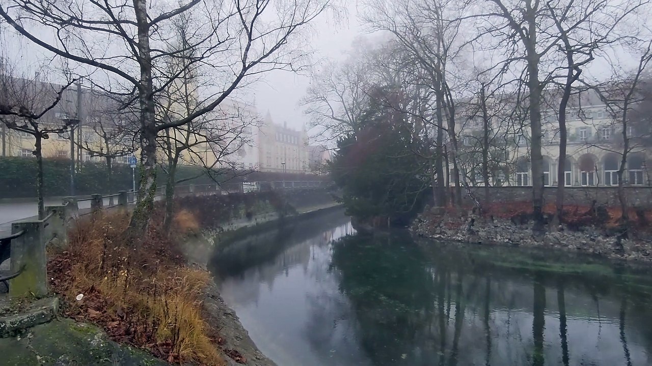 Lac de Constance sous le brouillard