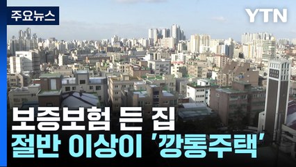 보증보험 든 집 절반 이상 '깡통주택'..."체납액 확인 필수" / YTN