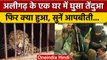 Aligarh में घर में घुसा तेंदुआ, डर के साए में कैसे बिताए 6 घंटे? सुनिए आपबीती | वनइंडिया हिंदी *News