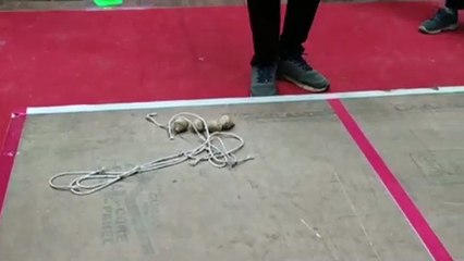 भंवरा, बांटी और फुगड़ी में दिखा रहे दमखम