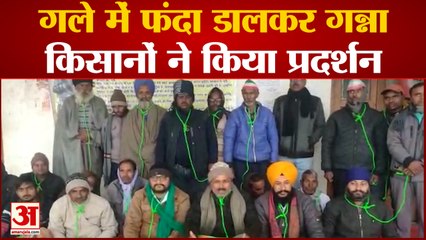 Kanpur News: कोहरे के बाद अब पाला पड़ने से फसलों को हुुआ नुकसान | UP News