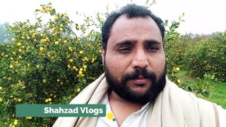 Aaj Kuch Poetry Sunte Hain || Poetry Vlog || Punjabi/Urdu Poetry || Rana Shahzad Vlogs