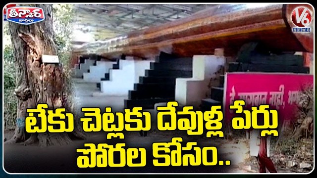 Tourists Named 200 Years Old Tree As Lakshman Tree In Allapalli Forest | V6 Teenmaar