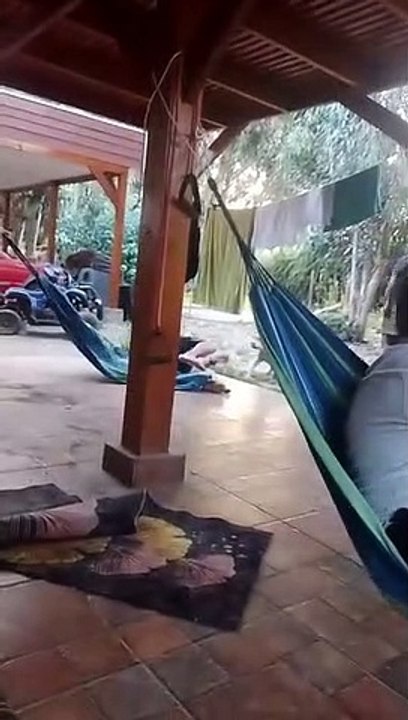 Hammock Snaps Mid-Swing