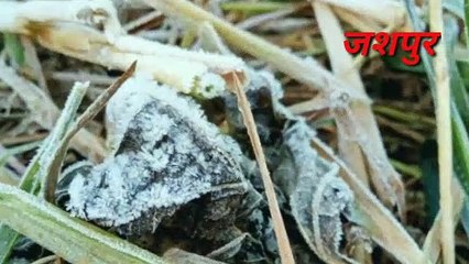 जशपुर से चिल्फी तक बर्फ, पारा 2 डिग्री के करीब