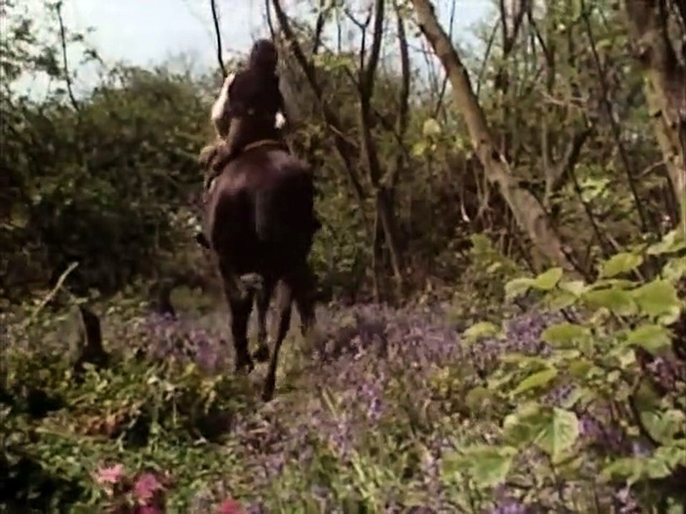 Black Beauty Staffel 1 Folge 16