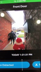 Accidentally Scaring the Amazon Delivery Guy