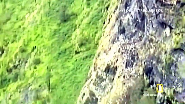 Mayday Desastres Aéreos - T17E10 - O Avião Perdido - Thai Airways 311