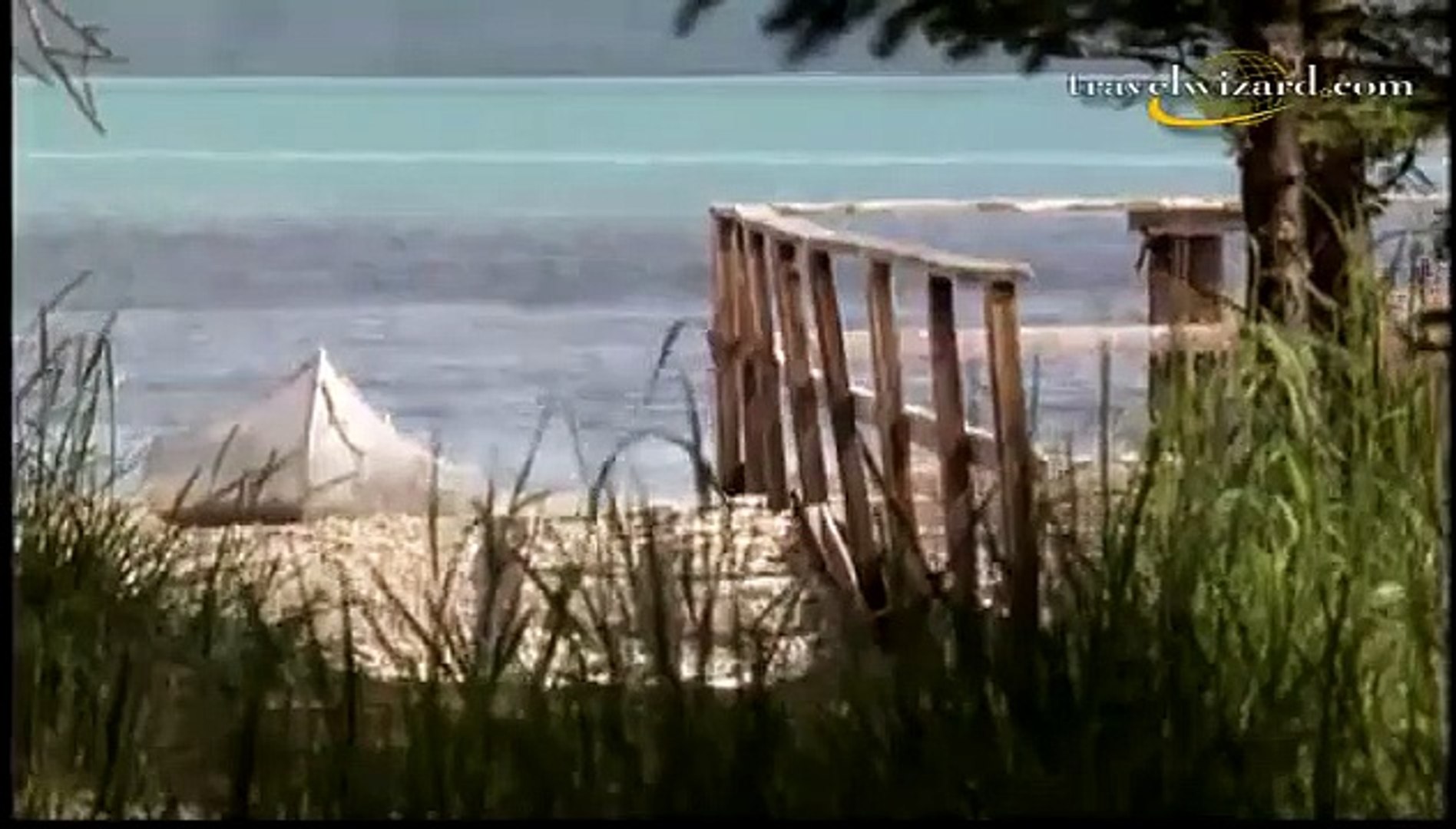 National Geographic Documentary  Alaska Wildlife