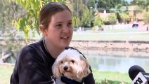 NSW Labor unveils plan to help tenants have pets in rental properties