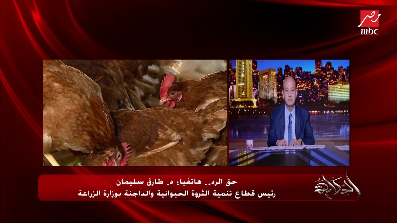حق الرد.. لجاننا رصدت تجار بيخبوا العلف لرفع سعره وبنحوله للنيابة وأفرجنا عن مليون و٧٥٠ ألف طن وده يغطي احتياجات السوق ..د. طارق سليمان رئيس قطاع تنمية الثروة الحيوانية والداجنة بالزراعة