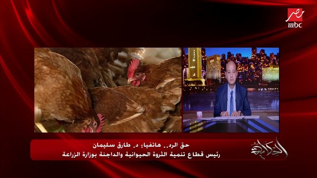 حق الرد.. لجاننا رصدت تجار بيخبوا العلف لرفع سعره وبنحوله للنيابة وأفرجنا عن مليون و٧٥٠ ألف طن وده يغطي احتياجات السوق ..د. طارق سليمان رئيس قطاع تنمية الثروة الحيوانية والداجنة بالزراعة