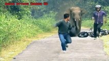 WoW! Most Shocking Gorilla Attacks on Human People Real Video   Wild Animal Attacks HD (4)