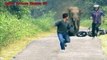 WoW! Most Shocking Gorilla Attacks on Human People Real Video   Wild Animal Attacks HD (4)