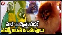 Special Story On Telangana Canine Pet Carnival Held In People's Plaza _ Hyderabad _ V6 News