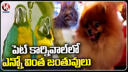 Special Story On Telangana Canine Pet Carnival Held In People's Plaza _ Hyderabad _ V6 News