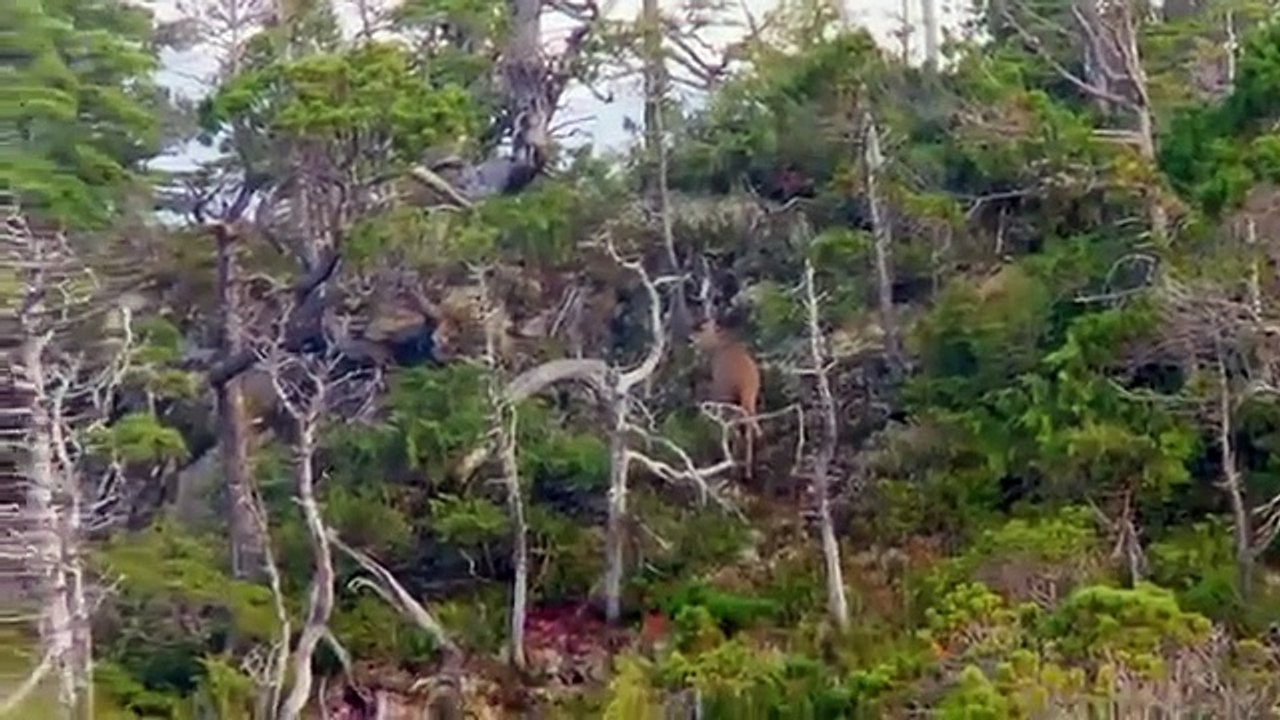 MeatEater - Se7 - Ep07 HD Watch