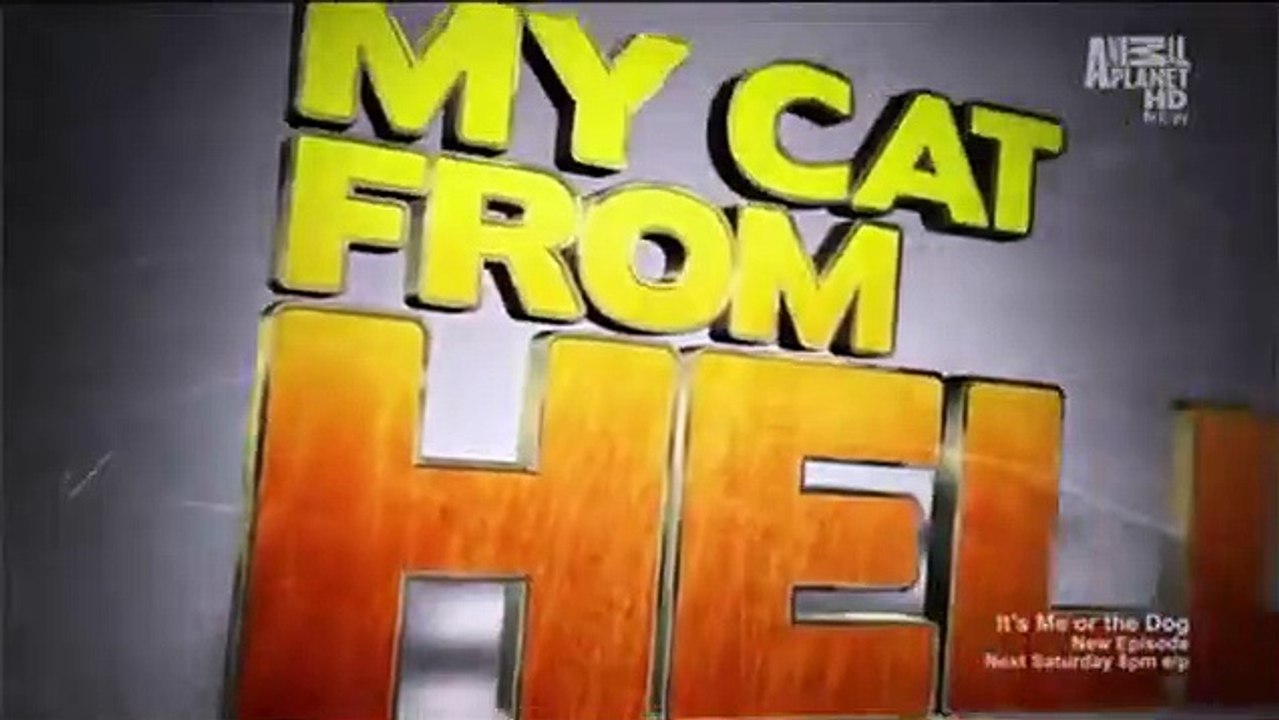 My cat from hell - se1 - ep01 - he hates my boyfriend hd watch