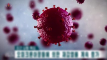 北 "남한·중국 등에서 코로나19 재확산 심각" / YTN