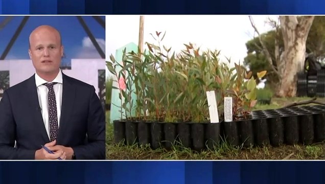 Review rejects suggestions carbon credit system is fundamentally flawed