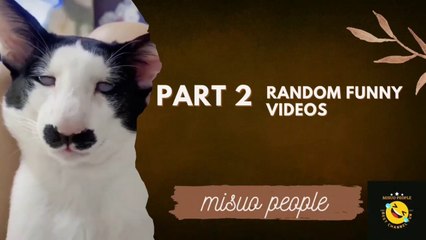 Random funny videos part 2 - misuo people|100% ngakak|#funny #lucu #viral