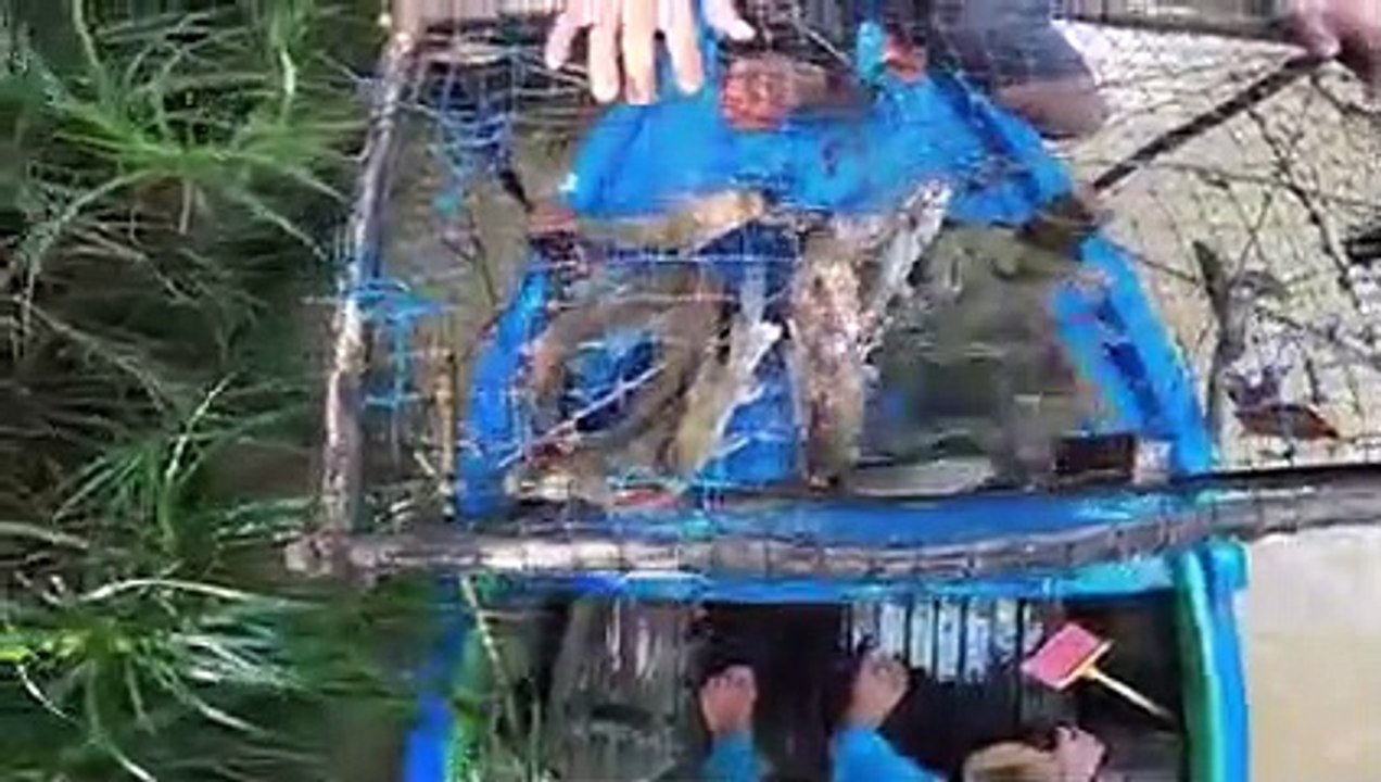 panen ikan disungai riau