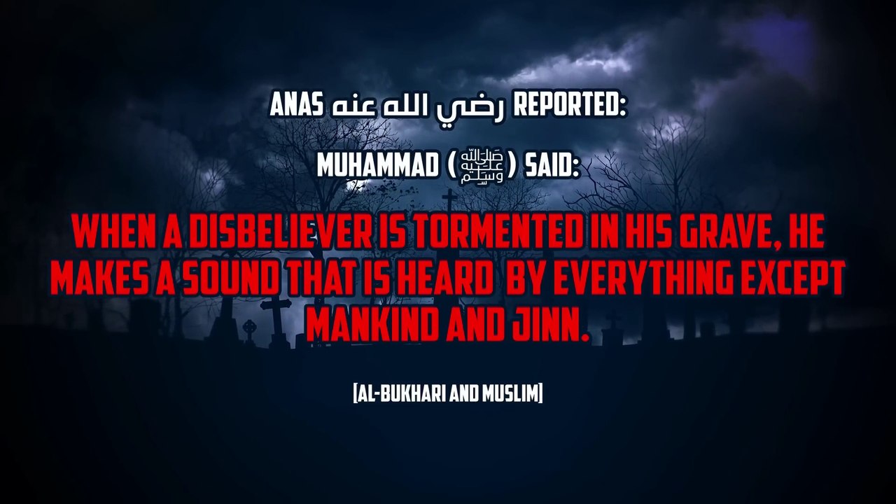 [TRIGGER WARNING] COCKATOO HEARS SINNERS PUNISHED IN GRAVE_!  Bird Break Out Punishment Of Grave | Qabar Ki Pehli Raat | The First Night In Your Grave  Bayan  Videos | Night of Grave | the qabar azab