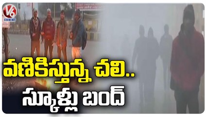 Schools  Holidays Due To Cold Waves In Delhi , Jharkhand  _ V6 News