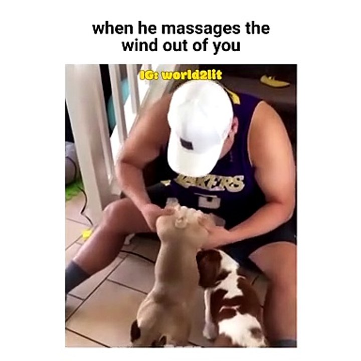 Funny Dog lets it out
