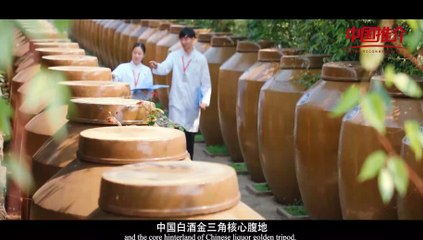 《物华天宝》：龙马潭小郎酒 Treasures: Longmatan Little Lang Liquor