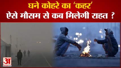 कोहरे की चपेट में दिल्ली-NCR समेत उत्तर भारत, देर से चल रही हैं ये ट्रेनें और फ्लाइट्स| Cold Day