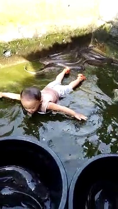 Eng bermain bersama ikan lele