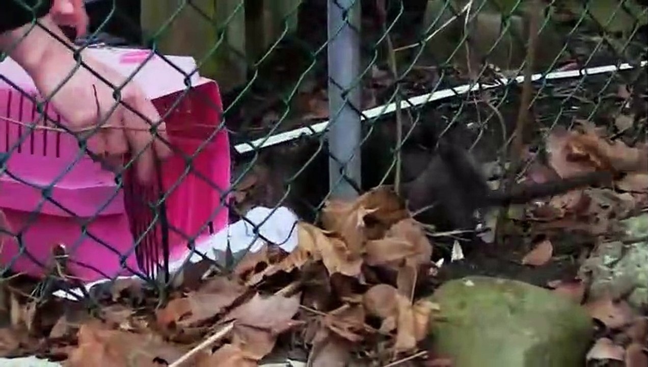 Hope in the Wild - Se1 - Ep22 HD Watch