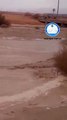 أمطار غزيرة وسيول في وادي عربة (فيديو)