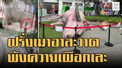 ฝรั่งเมาอาละวาด พังควายเผือกงานศิลป์บางกอกอาร์ต | ข่าวเที่ยงอมรินทร์ | 9 ม.ค.66