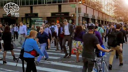 Real Story Of Afghani Super Car _ Behind The Story of Super Car _ Urdu/Hindi