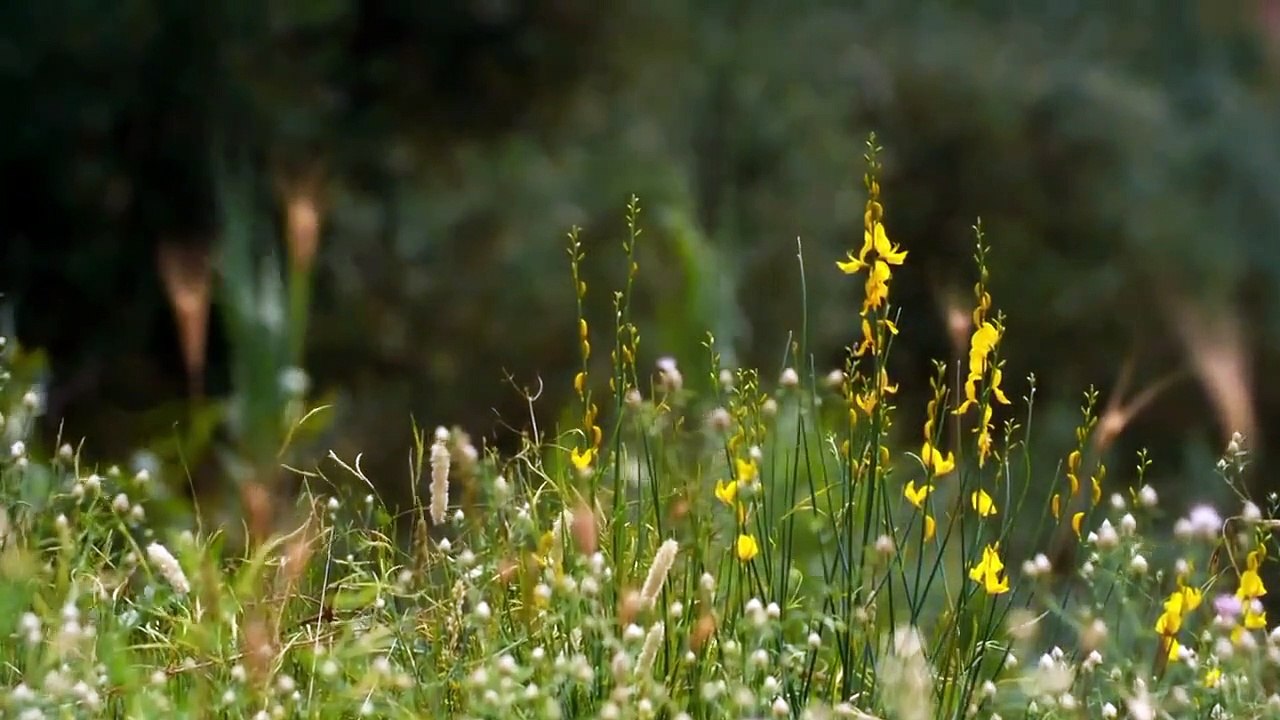 Unearthed (2016) - se6 - ep07 - leaning tower of pisa - the new mystery hd watch