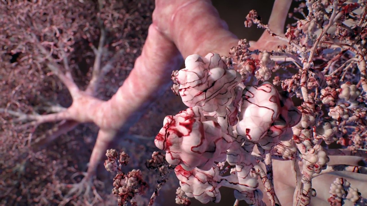 Human - The World Within - Se1 - Ep02 HD Watch